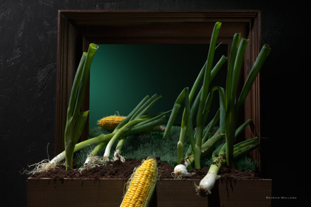 Framed vegetables.jpg